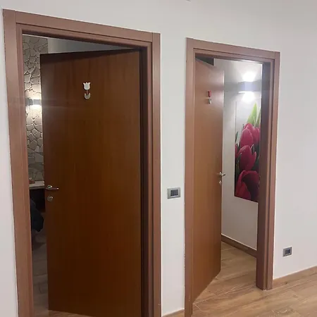 Tulipano Rosso * Bari