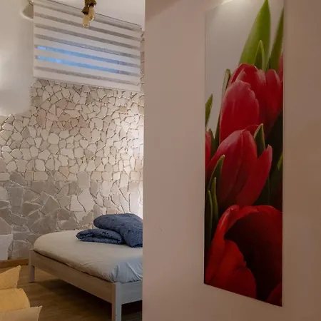 Daire Tulipano Rosso Bari